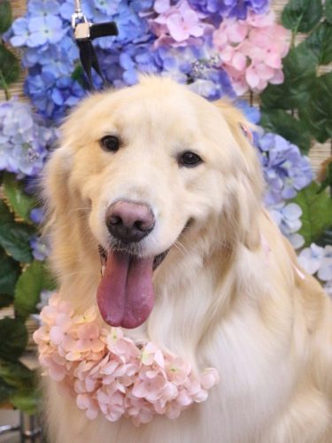 20250627ナナちゃん